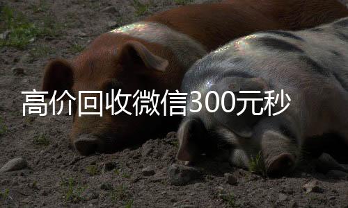 高价回收微信30收vx0元秒结（高价24小时回收微信）